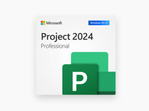 Microsoft Project Professional