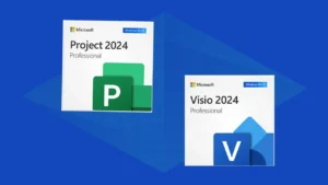 Microsoft Visio Professional